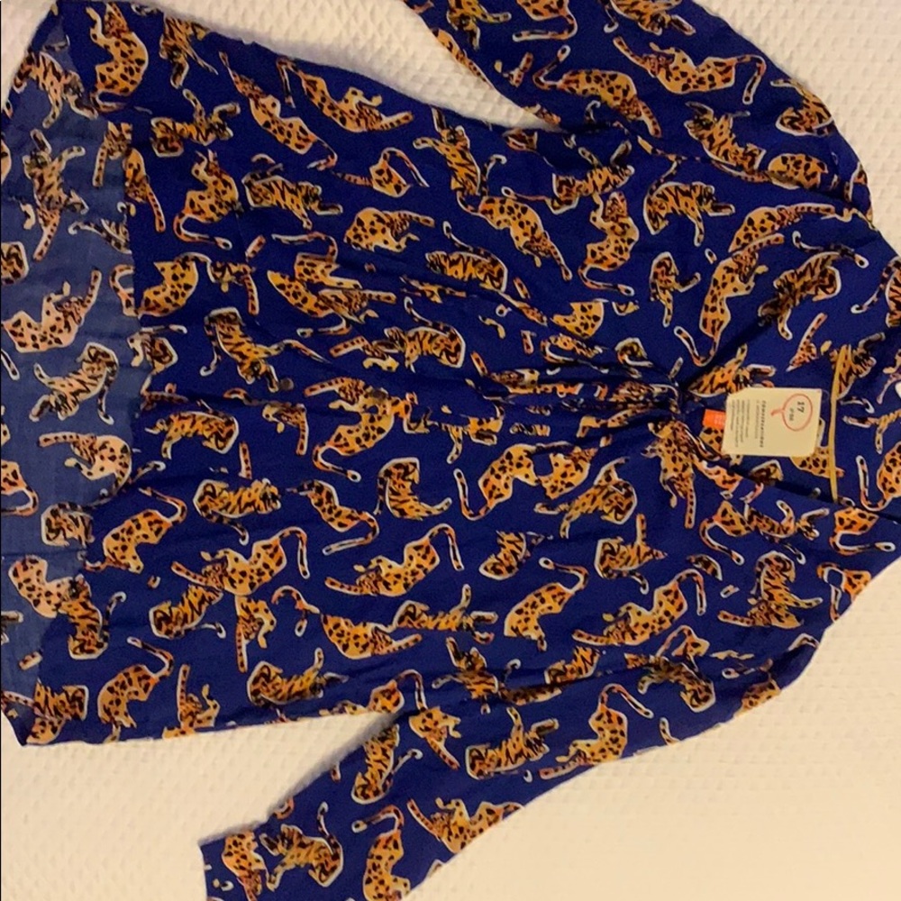 Anthropologie Blue Blouse with Leopard Print